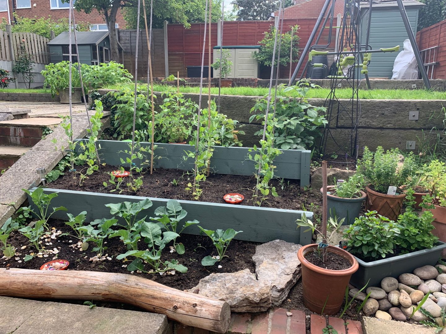 Homemade Vegetable Garden Project Update - June