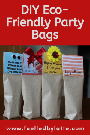 DIY Eco Friendly Party Bags